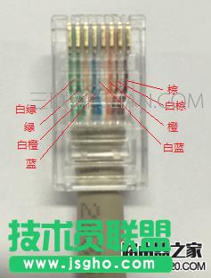 ������_�Ĳ鿴�W��������