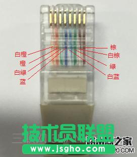 ������_�Ĳ鿴�W��������