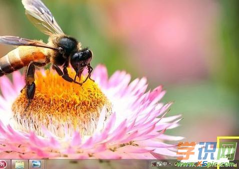 �ointernet�L���Ї@̖(h��o)��ô�k