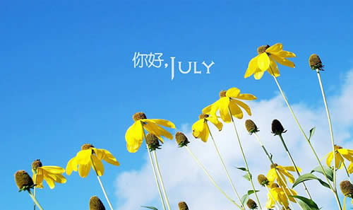 ������ÈDƬ