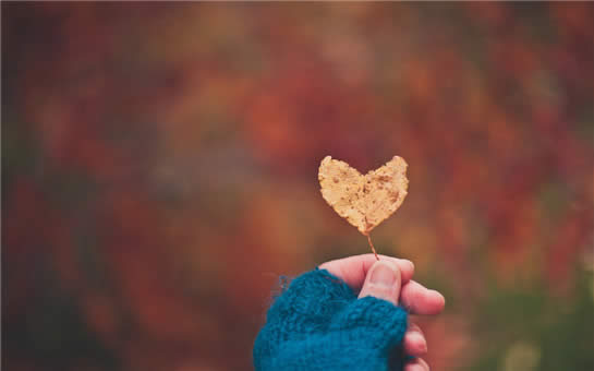 520情人節(jié)快樂(lè) 520情人節(jié)快樂(lè)