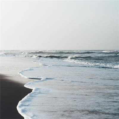 �����\��΢���^��