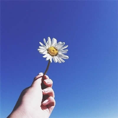 �����\��΢���^��