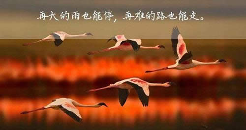 ΢������Ȧ�簲���Z�DƬ