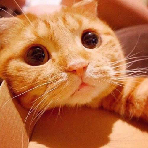 �����^��