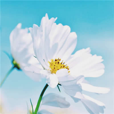 ���\(y��n)���~���^��