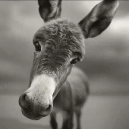 �����^��