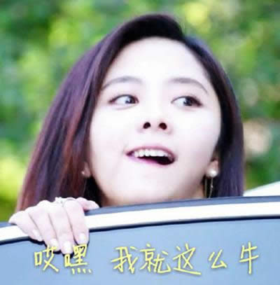 狐貍的夏天表情包 狐貍的夏天表情包