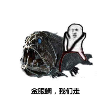 皮皮蝦表情包 皮皮蝦表情包