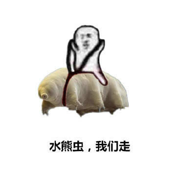 皮皮蝦表情包 皮皮蝦表情包