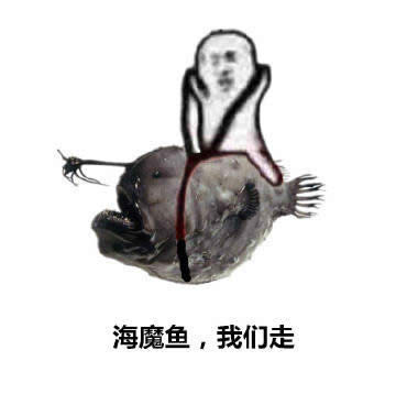 皮皮蝦表情包 皮皮蝦表情包