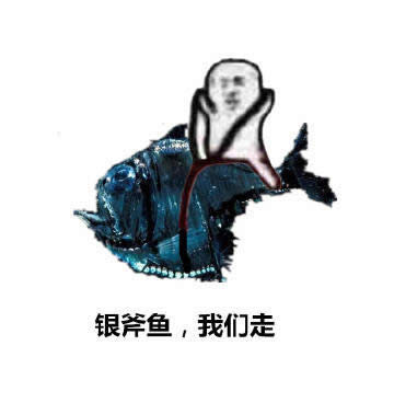 皮皮蝦表情包 皮皮蝦表情包