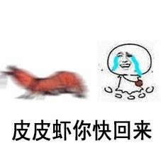 皮皮蝦表情包 皮皮蝦表情包