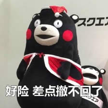 熊本熊表情包 熊本熊表情包
