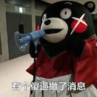 熊本熊表情包 熊本熊表情包