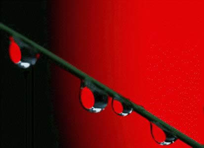 ����ÄӑB(t��i)�����