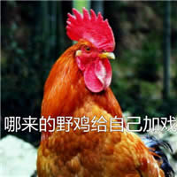 �u������