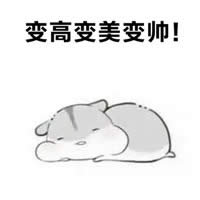 �}�������L�����