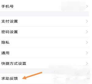 ֧������ô���˹��ͷ���֧�����ҵ��˹��ͷ��Ľ̳�_֧����