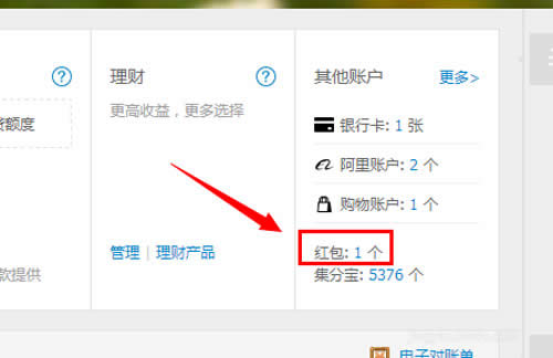 ��ô�I(l��ng)ȡ֧�����t��