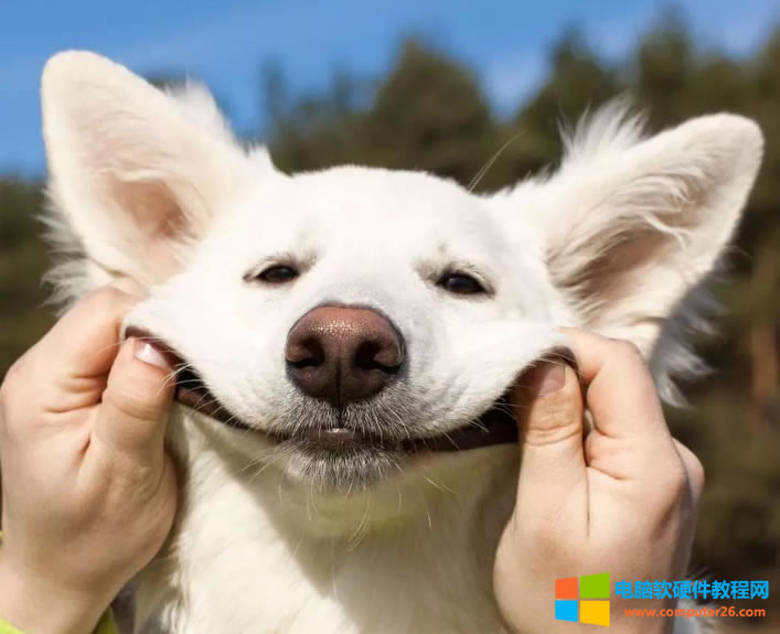 ��X��ӡ��ʲô��(hu��)���F(xi��n)�y�a����ʲôԭ����