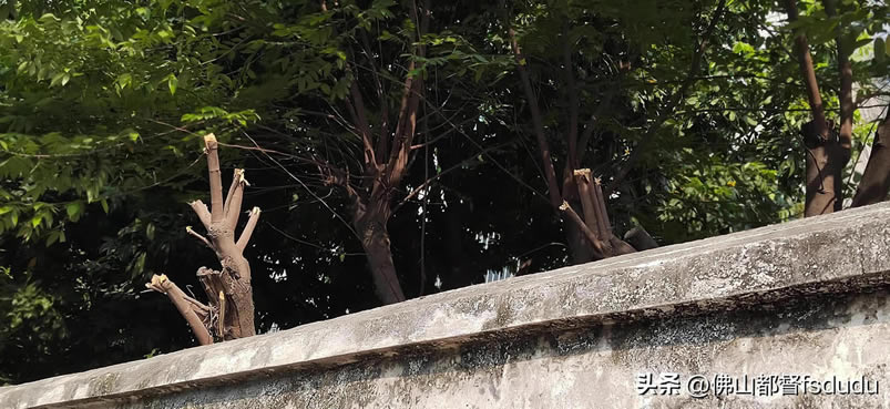 �O(ji��n)��?z��)o�W(w��ng)�j(lu��)ҕ�l���O(ji��n)�خ�����ʧ���z���^�o�@ʾ���֙C(j��)�����˱O(ji��n)�خ���ȹ��Ͻ�Q����