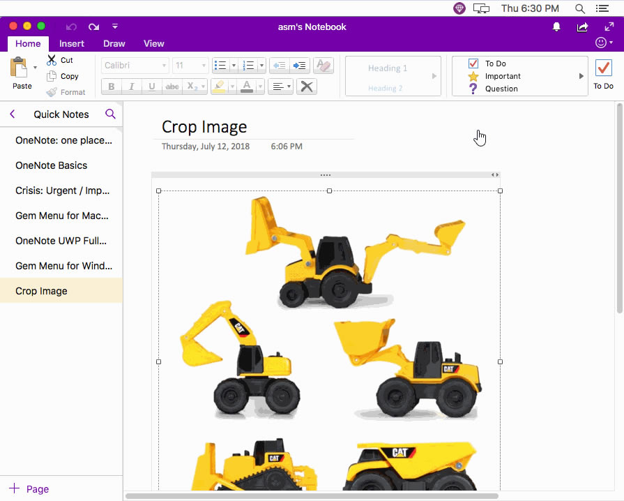 ʹ���䌚�ˆ���Ĳü�DƬ��������(du��) Mac OneNote ��ĈDƬ�M(j��n)�в鿴��������