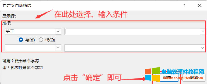 輸入自定義篩選的條件