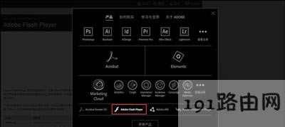 Win8ϵ�y(t��ng)�g�[�����_�W���ʾShockwave Flash�Ľ�Q����
