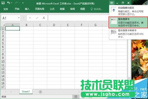 excel2016���ߙ���ô�@ʾ/�[��?