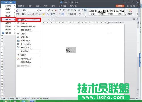 wps���w��ηŴ�