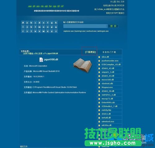 ���d������pgort100.dll�Ĳ��E2