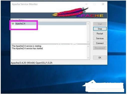 ����(w��)��