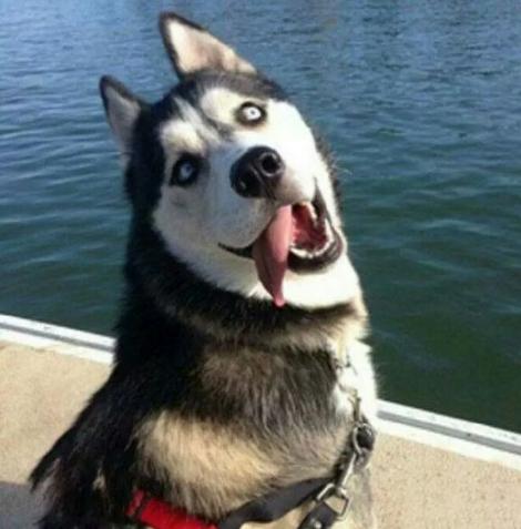 �Pӛ���P(gu��n)�C