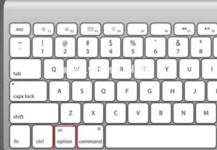 �pϵ�y(t��ng)