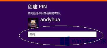 Win8 PIN�a�������O(sh��)����