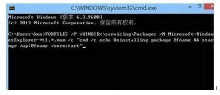 Windows8.1系統(tǒng)卸載IE11瀏覽器失敗的處理方法 Windows8.1系統(tǒng)卸載IE11瀏覽器失敗的處理方法