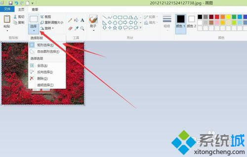 �c(di��n)���x��-�����x��