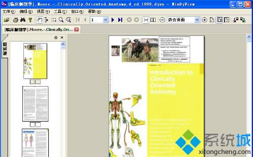 winxpϵ�y(t��ng)���_djvu�ļ��ķ���