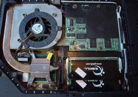 ɢ���L(f��ng)�Ȳ��D(zhu��n)